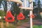 Path with hanging climbing rings in a playground