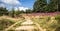 Path through heather landscape in Belgium.