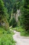 Path in Homole Gorge, Pieniny Mountains, Poland