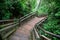 Path through Iguazu National Park