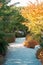 Path through the japanese garden in the fall in Grand Rapids Michigan