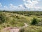 Path in Kooiduinen dunes in nature reserve on island Schiermonnikoog, Netherlands