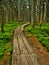 Path in Krkonose