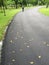 Path through the landscaped park