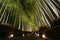 Path of lanterns in a bamboo forest for the night illumination festival in Kyoto, Japan