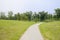 Path in lawn to lakeside in sunny summer afternoon