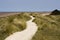 A path leading across the sand dunes