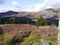 Path leading from fence and stile into Ennerdale forest