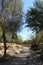 Path leading through a garden, Ben Gurion National Park in Sde Boker