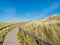 Path leading up to viewpoint dune with people in nature reserve Het Oerd on West Frisian island Ameland, Friesland, Netherlands