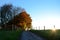 Path leading uphill to sunlit autumn trees at sundown