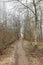 A path between leafless trees in an autumn forest on an overcast day. Landscape of an open dirt walkway or hiking trail