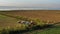 Path of Life of fisherman and farmer at river side in Amarapura Mandalay, Myanmar with wonderful sun light in the morning