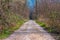 Path lined with bare trees in Les Grangettes Natural Reserve, Villeneuve, Switzerland