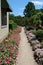 A Path Lined with Pink Zinnias, Pink and White Petunias and Canna lilies