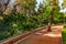 Path lined with Plants and a Tree Stump at Cyber Park in Marrakesh Morocco