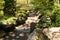 Path lined by rocks in a garden