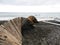 A path made of bamboo, destroyed by waves during a storm