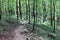 Path in Mammoth Cave National Park