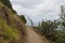 A path at Mangawhai Cliffs walk track, New Zealand