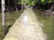 The path through the mangroves flooded water tide.