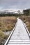Path through Marsh at Uath Lochans in Scotland.