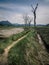 Path through the marshes in the Biosphere Reserve of Urdaibai during a cloudy day in the Basque Country