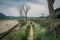 Path through the marshes in the Biosphere Reserve of Urdaibai during a cloudy day in the Basque Country