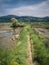 Path through the marshes in the Biosphere Reserve of Urdaibai during a cloudy day in the Basque Country