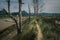 Path through the marshes in the Biosphere Reserve of Urdaibai during a cloudy day in the Basque Country