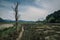 Path through the marshes in the Biosphere Reserve of Urdaibai during a cloudy day in the Basque Country