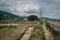 Path through the marshes in the Biosphere Reserve of Urdaibai during a cloudy day in the Basque Country