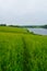 Path in the meadow. Beautiful summer landscape. Lakes and rivers.