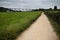 Path through the meadow, the viaduct in the background