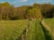 Path between meadows. Spring time, Suwalski landscape park, Podlaskie, Poland.