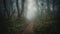 a path in the middle of a forest with fog on the ground and trees in the background with leaves on the ground and a trail in the