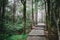 Path on Mingyue Mountain, Jiangxi, China