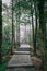 Path on Mingyue Mountain, Jiangxi, China