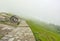 Path in misty mountains