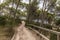 Path in the Mondrago natural park