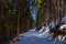 A path in the Mont Blanc massif in Europe, France, Rhone Alpes, Savoie, Alps, in winter on a sunny day