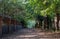 Path through the Montefiore Woodland, Ramsgate, Kent UK. Named after Sir Moses Montefiore.