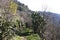 path in the mountain  green landscape