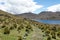 Path beside a mountain lake in the Antisana Ecological Reserve, Ecuador