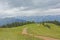 Path through a mountain meadow with trees in the French Alps