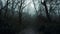 A path through a mysterious forest on a spooky winters day. With fog creating silhouetted branches. With a dark moody edit