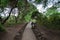 Path in Mzima Springs, scenery of a oasis in Kenya