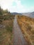 Path in national park Wicklow mountains in Ireland, Glendalough