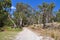 Path in Nature: Cockburn Wetland Reserve, Western Australia