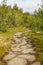 Path near Abisko with a soil heap structure